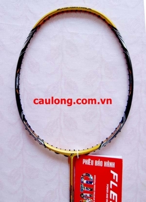 Vợt cầu lông Fleet Force FT-2000