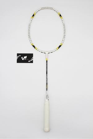 Vợt cầu lông Flypower Tornado 770