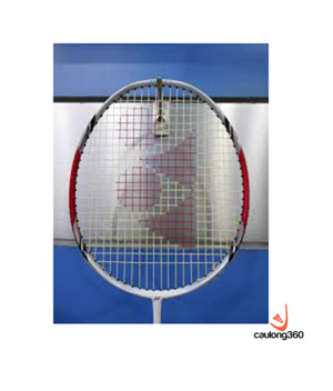 Vợt cầu lông Yonex ARC D19