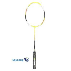 Vợt cầu lông Yonex ARC Saber 002