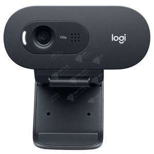 Webcam Logitech C505E