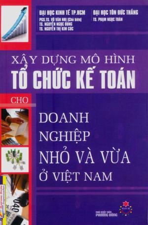 Xây dựng mô hình tổ chức kế toán cho doanh nghiệp nhỏ và vừa ở Việt Nam