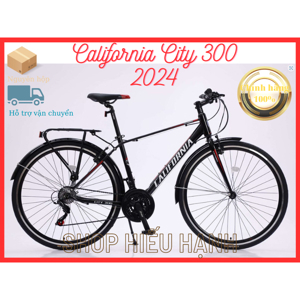 Xe đạp California City 300