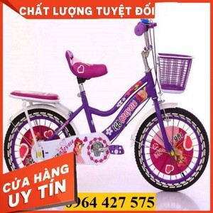 Xe đạp Centosy Hero WY01