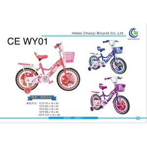 Xe đạp Centosy Hero WY01