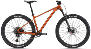 Xe đạp địa hình MTB Giant Fathom 29 1 2022