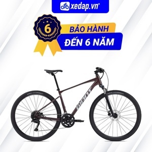 XE ĐẠP ĐỊA HÌNH MTB GIANT ROAM 2 DISC 2022