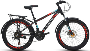 Xe đạp địa hình MTB Vivente 24F2 24 inch