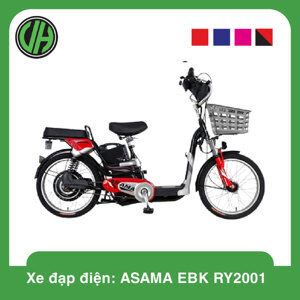 Xe đạp điện Asama EBK RY2001