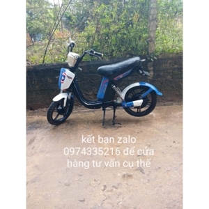 Xe đạp điện Cap A