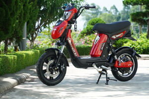 Xe đạp điện Dkbike Samurai