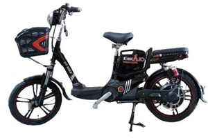 Xe đạp điện HT Bike A10