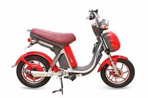 Xe đạp điện Nijia Plus 2016