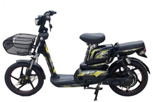 Xe đạp điện Nishiki A10