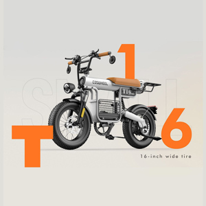 Xe đạp điện trợ lực Coswheel T16