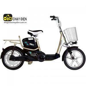 Xe đạp điện Yamaha ICATS H5 2012