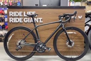 Xe đạp đua Giant TCR ADV Pro 1 D 2022