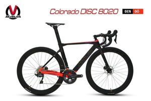 Xe đạp đua SAVA Carbon Colorado Disc 8020