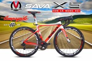 Xe đạp đua SAVA X5 Campagnolo Chorus