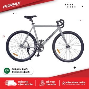 Xe đạp Fornix BF300 2016