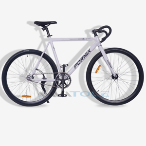 Xe đạp Fornix BF300 2016