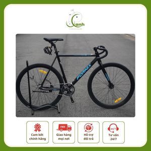 Xe đạp Fornix BF300 2016