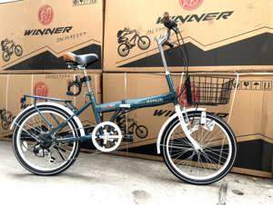 Xe đạp gấp Mypallas M246