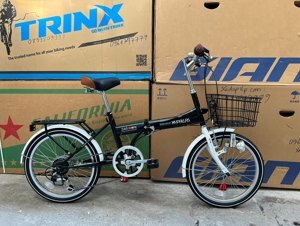 Xe đạp gấp Mypallas M246