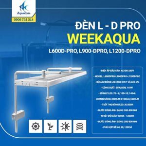 Xe đạp gấp Oyama Dolphin Pro L900