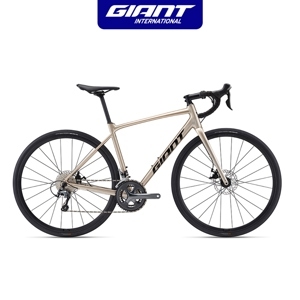 Xe đạp Giant Contend 2