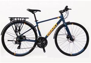 Xe đạp thể thao Giant FCR 3300