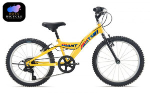 Xe đạp Giant MTX 20