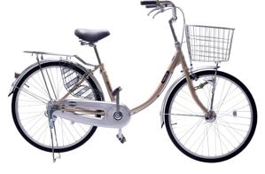 Xe đạp mini Maruishi CAT2412