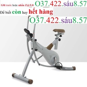 Xe đạp tập Kingsport BK-105