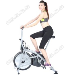 Xe đạp tập thể dục Ibike 8.2i