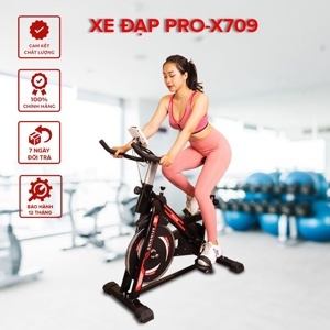 Xe đạp tập thể dục Pro-X709