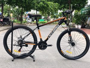 Xe đạp thể thao California 250CC