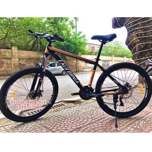 Xe đạp thể thao California 250CC