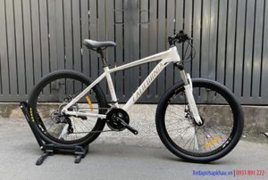 Xe đạp thể thao California 500cc