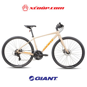 Xe đạp thể thao Giant Escape 3 Disc 2023