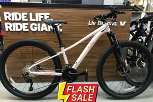 Xe đạp thể thao Giant Liv Tempt 2 2023