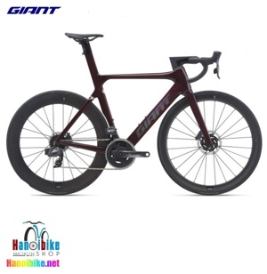 Xe đạp thể thao Giant PROPEL ADV SL 1 D 2021