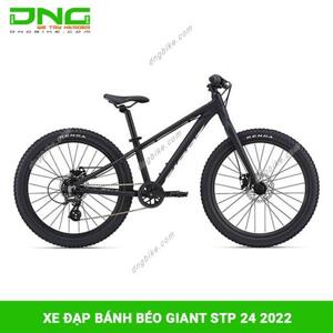 Xe đạp thể thao Giant STP 24 2022