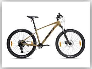 Xe đạp thể thao GIANT TALON 2