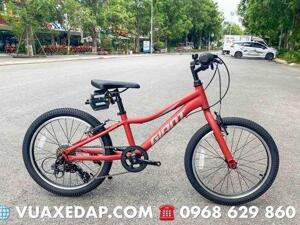 Xe đạp thể thao Giant XTC JR 20 2019