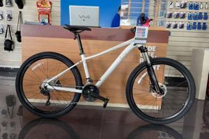 Xe đạp thể thao Liv Tempt 2 2021