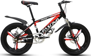 Xe đạp thể thao MTB Fascino FS-04 20 inch