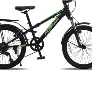 Xe đạp thể thao MTB Fornix Warrior 20 inch