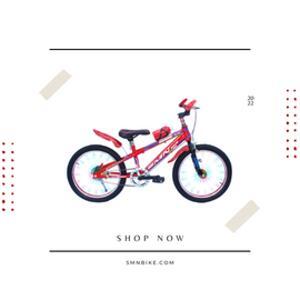 Xe đạp thể thao SMNBike HT 20-11