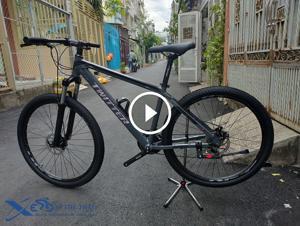 Xe đạp thể thao Twitter Elvis 2019